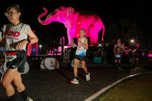 BIB: 
                            <button type="button" onclick="openModal(26534931)" class="btn btn-primary btn-sm float-right btn-popup" data-toggle="modal" data-target=".modal-high-quality">
                        <i class="fas fa-shopping-cart"></i> Add to Cart
                    </button>
                                            <button type="button" onclick="isThisMe(26534931, true)" class="btn btn-success btn-sm float-right btn-popup btn-isme hidden" data-toggle="tooltip" data-placement="bottom" title="นี่คือรูปของคุณใช่ไหม คลิกที่นี่เพื่อเอาเข้าอัลบั้ม">
                        <i class="fas fa-plus"></i> Add to album
                    </button>
                    <button type="button" onclick="isThisMe(26534931, false)" class="btn btn-warning btn-sm float-right btn-popup btn-isnotme hidden">
                        <i class="fas fa-ban"></i> Remove from album
                    </button>